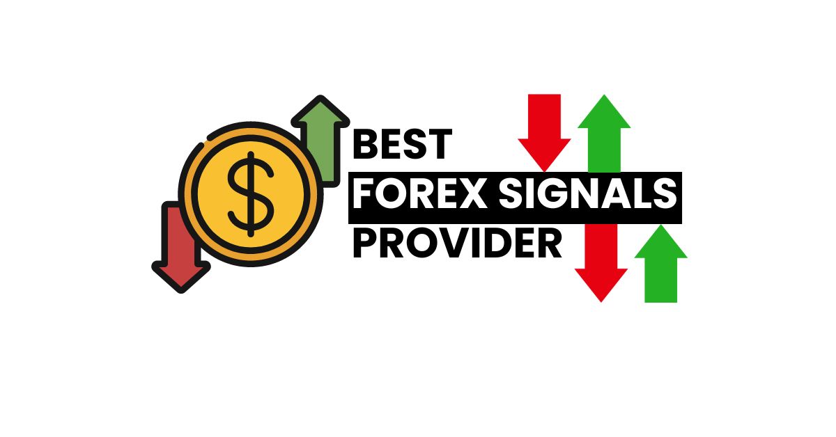 8 Best Forex Signal Providers in 2024 for Beginners