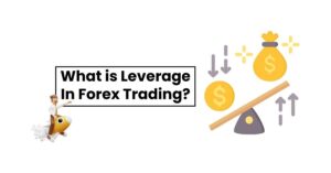 Read more about the article What is Leverage In Forex Trading?How to Manage it Effectively?