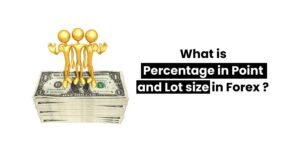 Read more about the article What is Percentage in Point and Lot size in Forex ?