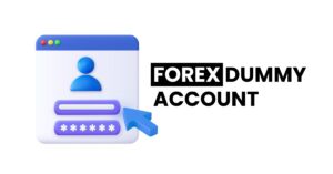 Read more about the article Forex dummy account