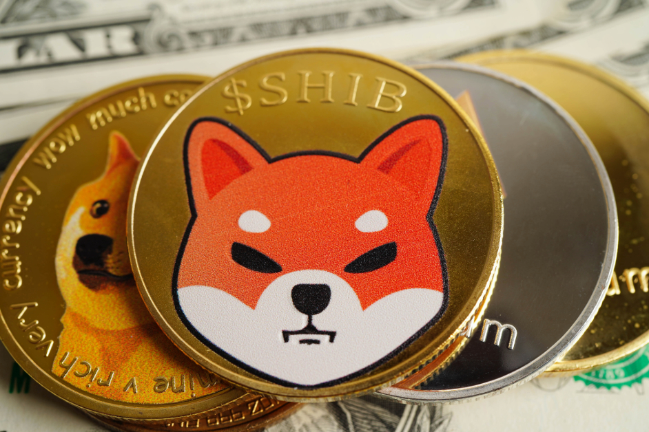 DOGE-and-SHIB