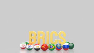 BRICS Expansion Sparks Talk of a New Global Currency